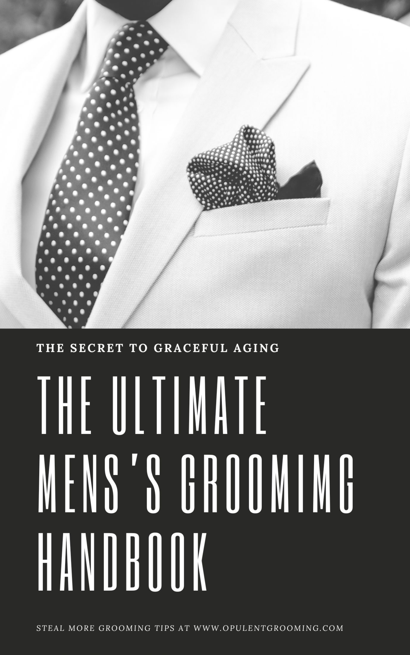 The Ultimate Men's Grooming Handbook - The secrets to graceful aging